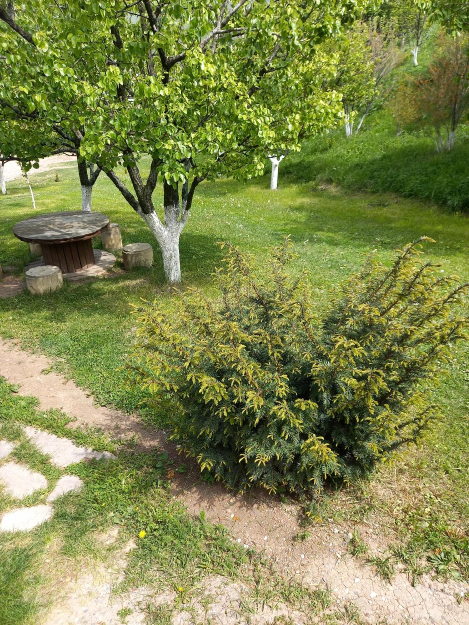 Guest House Ijevan'S Garden Exterior foto
